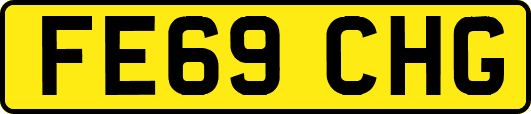 FE69CHG