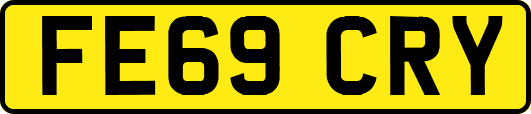 FE69CRY