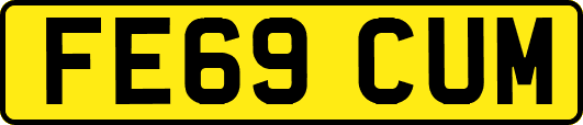 FE69CUM