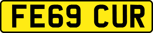 FE69CUR
