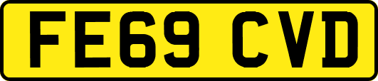 FE69CVD