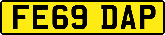 FE69DAP