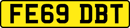 FE69DBT