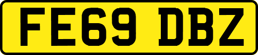 FE69DBZ