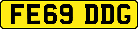 FE69DDG