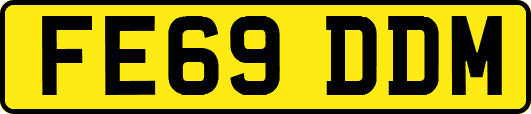 FE69DDM