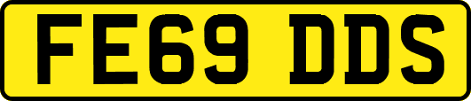 FE69DDS