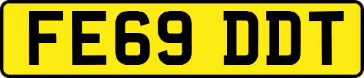 FE69DDT