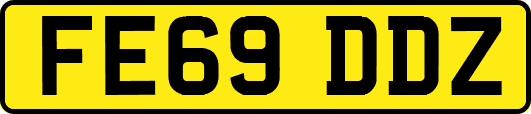 FE69DDZ