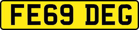 FE69DEG
