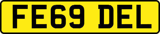 FE69DEL