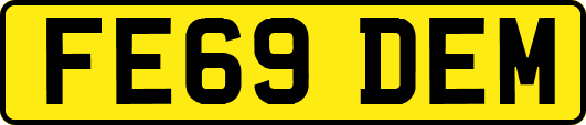 FE69DEM