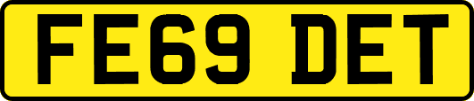 FE69DET