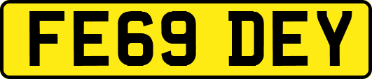 FE69DEY