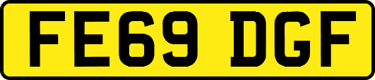 FE69DGF
