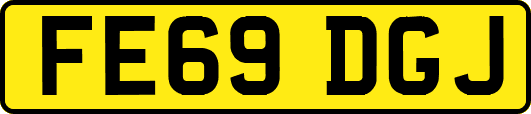 FE69DGJ