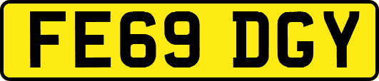 FE69DGY