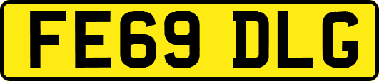FE69DLG