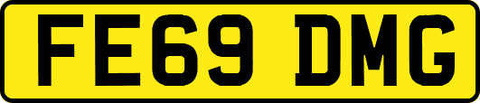 FE69DMG
