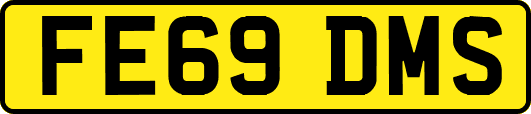 FE69DMS