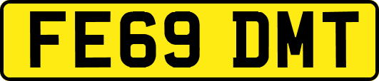 FE69DMT