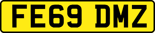 FE69DMZ