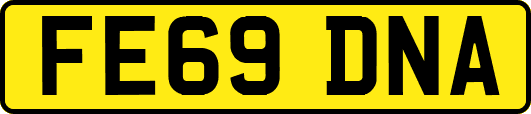 FE69DNA