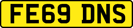 FE69DNS