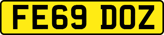 FE69DOZ