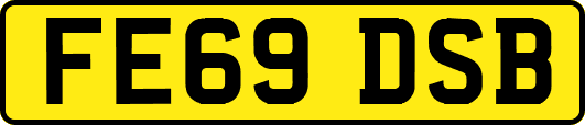 FE69DSB