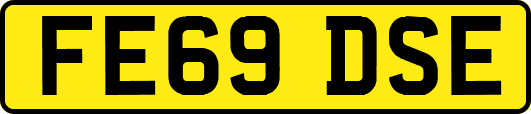 FE69DSE