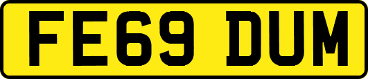 FE69DUM