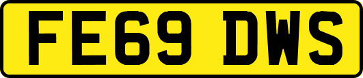 FE69DWS