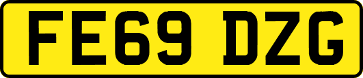 FE69DZG