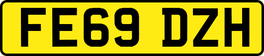 FE69DZH