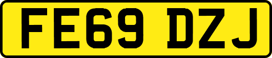 FE69DZJ