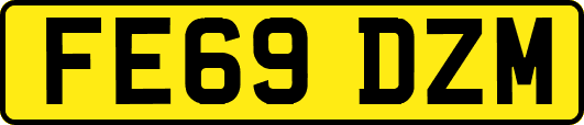 FE69DZM