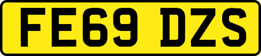 FE69DZS