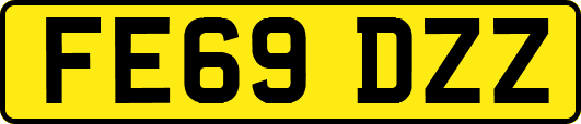 FE69DZZ