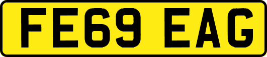 FE69EAG