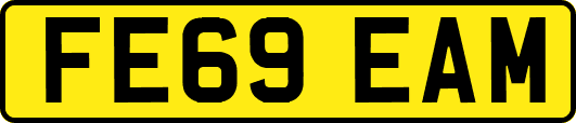 FE69EAM