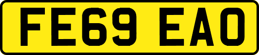 FE69EAO