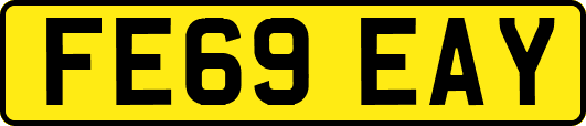 FE69EAY