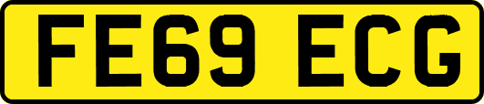 FE69ECG