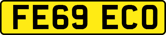 FE69ECO
