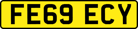 FE69ECY