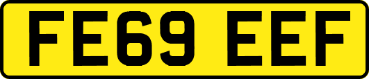 FE69EEF