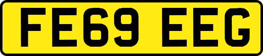 FE69EEG