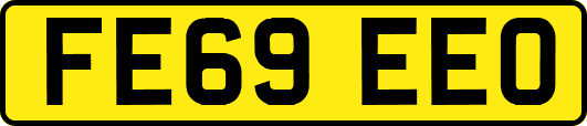 FE69EEO
