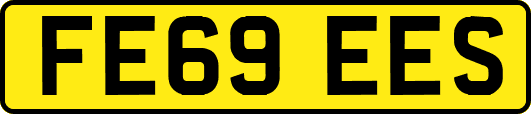 FE69EES